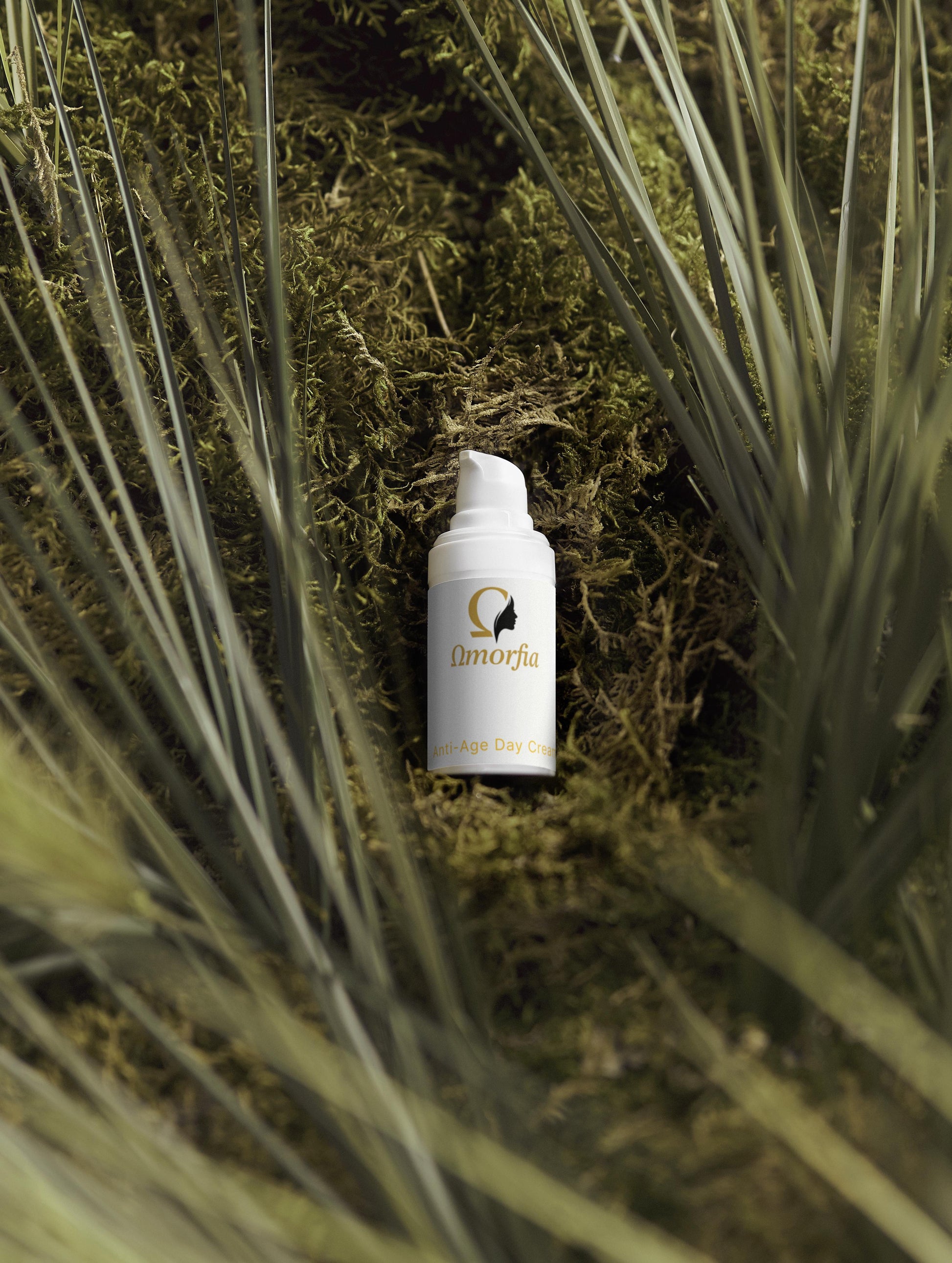 Κουτί Συλλογής Διαχρονικής Λάμψης