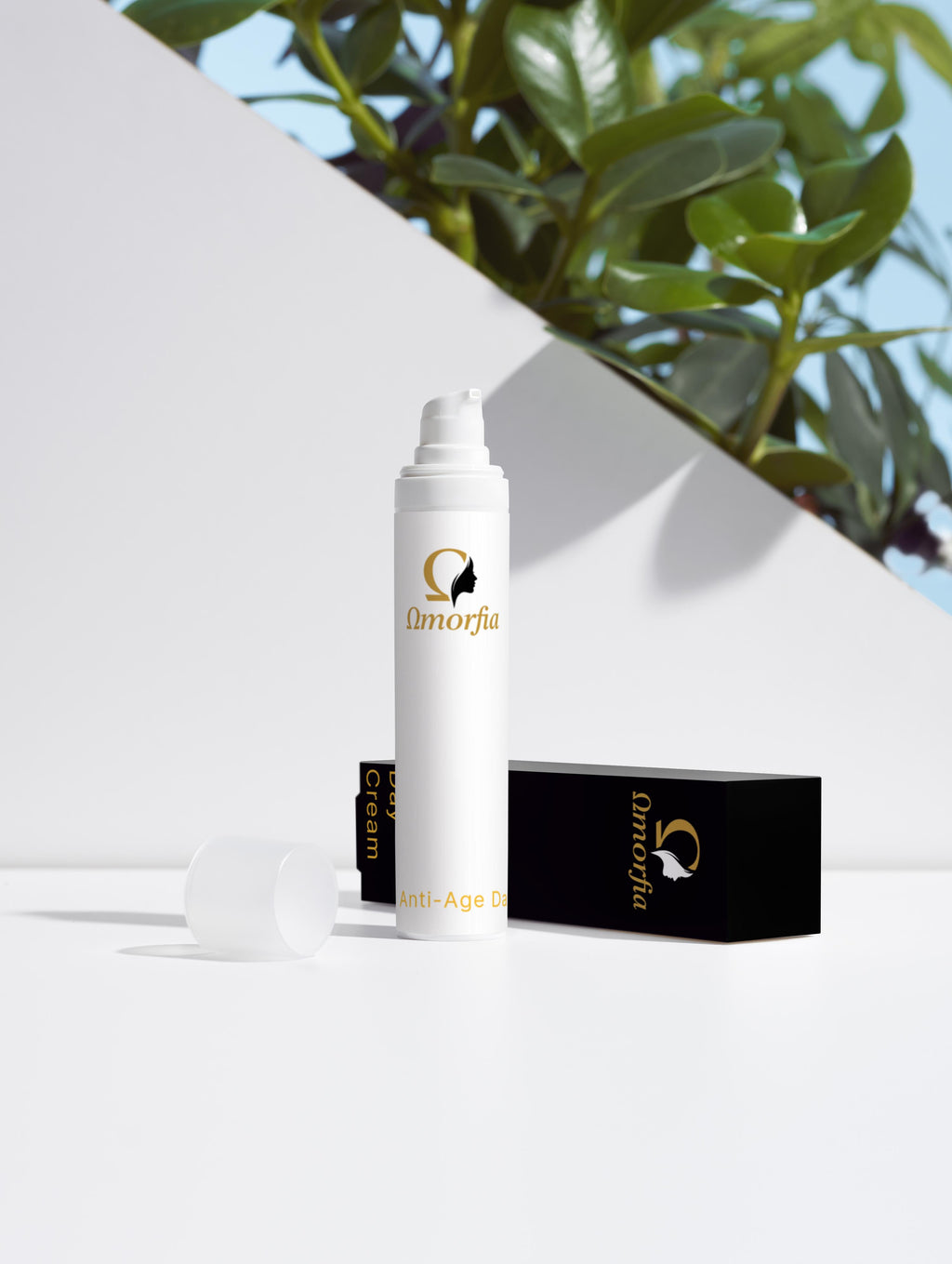 Κουτί συλλογής κατά της γήρανσης