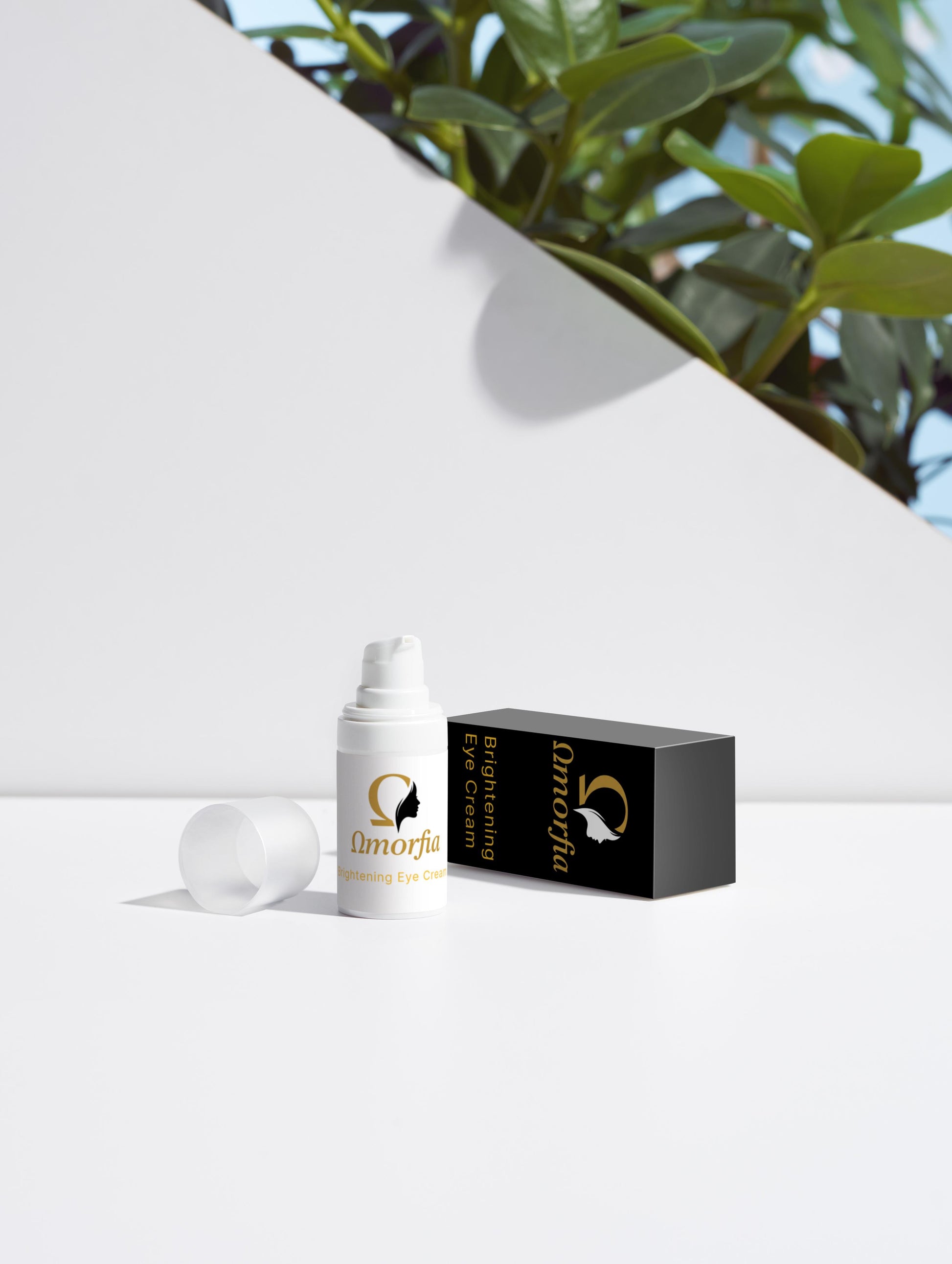 Αναζωογονητικό κουτί συλλογής λάμψης